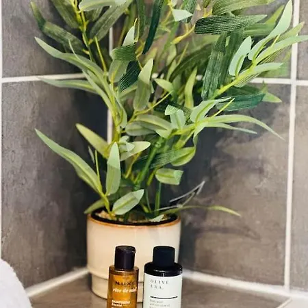 Appartement Maison Des Chenizelles *